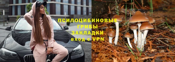 герыч Алексин